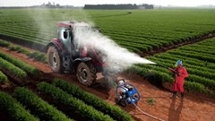 Farming hygiene practices can help protect agricultural value chain