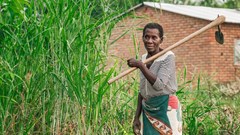 Image source: Getty/Gallo