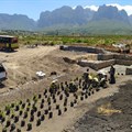 Vergelegen completes eroded watercourse rehabilitation programme