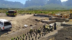 Vergelegen completes eroded watercourse rehabilitation programme