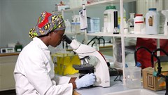 Report: Gender-responsive research key to farm productivity, tackling Africa's agricultural threats