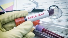 Ebola survivors: their health struggles and how best to support them