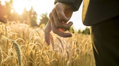 Farmers, Ferraris and harvesting good investments in Africa