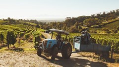 Expropriation Bill aims to bring SA in line with global land ownership policies