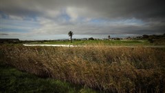 Heritage dispute engulfs site chosen for Amazon's new African HQ