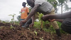 New targets to protect biodiversity must include farmers and agriculture