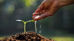 Last call for applications for AGCO Africa's agribusiness qualification