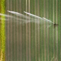 Big irrigation projects in Africa have failed to deliver. What's needed next