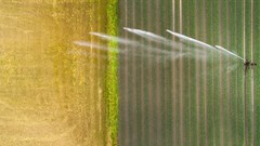 Big irrigation projects in Africa have failed to deliver. What's needed next