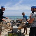 Palm fronds and stones: creating reefs to heal Tunisia's polluted seas