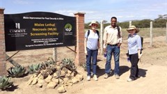 How research, collaboration are contributing to food security in Africa