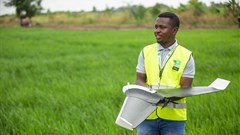 Ghana's farmers aren't all seeing the fruits of a Green Revolution