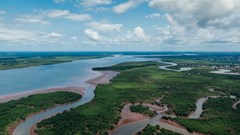 Source: Photo by Kelly Lacy from