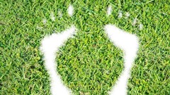 Billions in export revenue at risk if suppliers don't cut carbon emissions - study