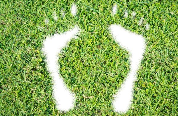 Source: © Sorapop Udomsri –