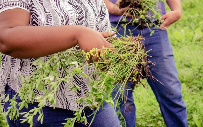 #YouthMatters: Portia Phohlo of Woodlands Dairy on her love of soil science, and improving farm sustainability