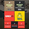 South Africa's first Digital Craft Lion awarded to Grey Africa