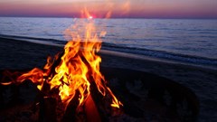 Source: ©Jason Ross