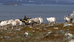 Climate change threatens age-old indigenous food systems