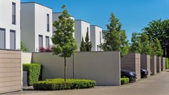 Ecomimicry: the nature-inspired approach to design that could be the antidote to urban 'blandscapes'