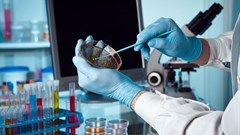 Source: ©angellodeco