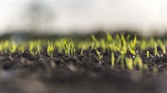 To make agriculture more climate-friendly, carbon farming needs clear rules