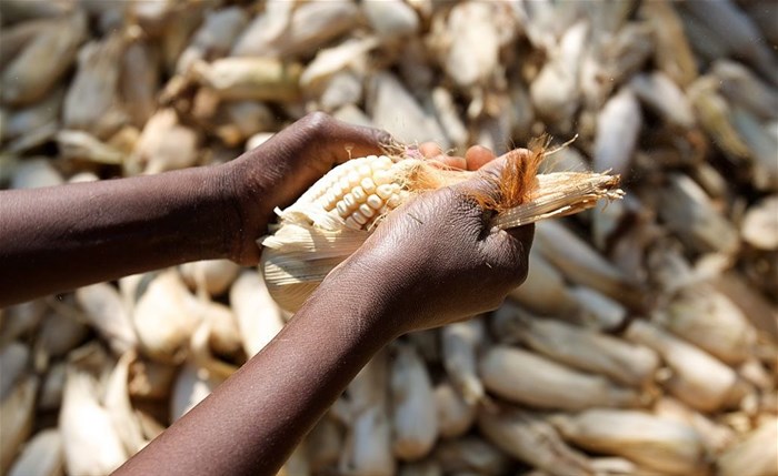 Africa Food Security 11 via