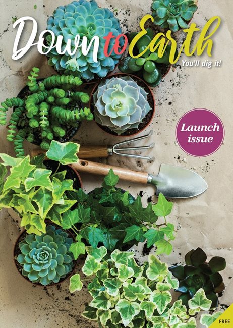 Isikhova Media launches Down to Earth magazine