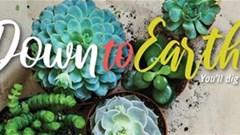 Isikhova Media launches Down to Earth magazine