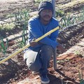 Northern Cape-based wind farms provide support, funding to youth-owned agribusiness