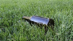 Source: Fernando Latorre via