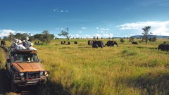 Africa needs fairness, vaccines to revive its tourism sector - Kenya tourism minister