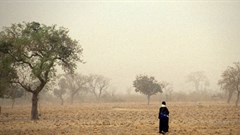 COP26 on climate: Top priorities for Africa