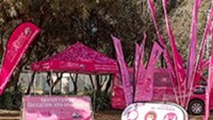 Scan Display supports PinkDrive with outdoor branding