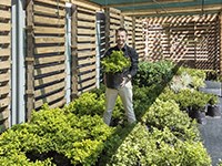 Scan Display Cape Town's new water-wise plant nursery