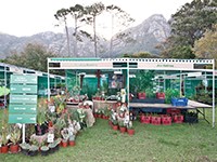 Scan Display, proud infrastructure sponsor for Investec Kirstenbosch Plant Fair 2015