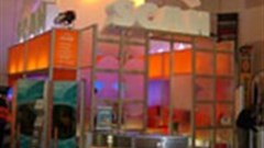 Scan Display makes it two in a row at Markex Cape