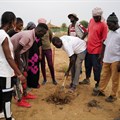 Senegalese plant circular gardens in Green Wall defence against desert