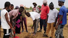 Senegalese plant circular gardens in Green Wall defence against desert