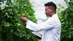 Research and development are key to resilient food systems in Africa