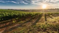 How a land reform agency could break South Africa's land redistribution deadlock