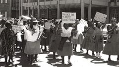 #WomensMonth: Women's Day and purpose-driven messaging