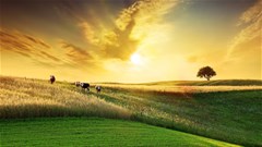 The future of insurance in South Africa's agricultural industry