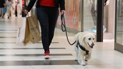 EPP embraces pet-friendly shopping malls