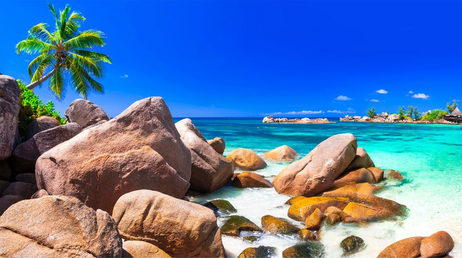 Homegrown, South African solution driving digitisation in the Seychelles