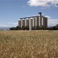 SA agri posts trade surplus in Q2 despite ongoing Covid challenges