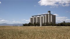 SA agri posts trade surplus in Q2 despite ongoing Covid challenges