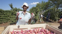 Source: Peter Titmuss –