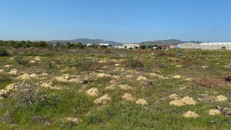 The Racing Park Developers’ Association wants to overturn the sale of industrial land to the Western Cape Human Settlements Department for housing 1,500 families from overcrowded informal settlements in Dunoon. Photo: Peter Luhanga / GroundUp