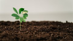 Ordinary people, extraordinary change: Addressing the climate emergency through 'quiet activism'